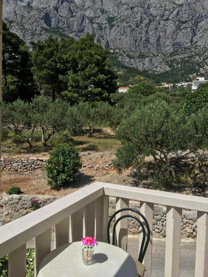 Apartments Medusa Makarska Zewnętrze zdjęcie